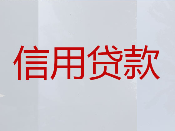 新昌贷款中介公司-信用贷款